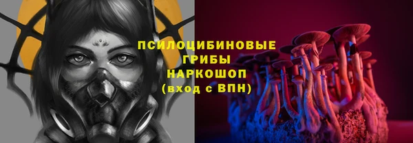 меф Арсеньев