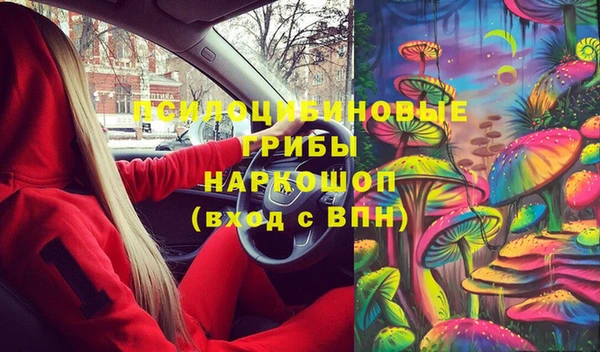 меф Арсеньев