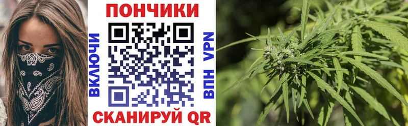 Бошки марихуана гибрид  Новомосковск 